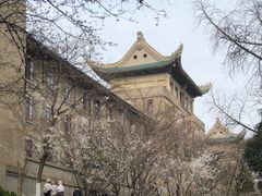 -武汉大学-樱园