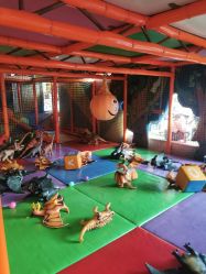 点击看大图 -寻石问宝研学亲子乐园(朝阳公园店)