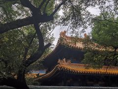 -北京国子监胡同