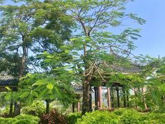 -飞来湖湿地公园