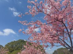 -新江湾城公园