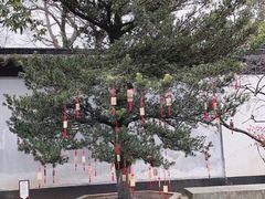 -东山雕花楼