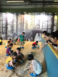 -恐龙探索乐园(磁器口店)