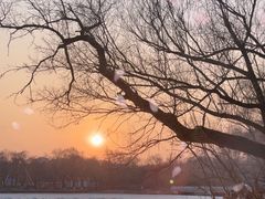 -长春市南湖公园