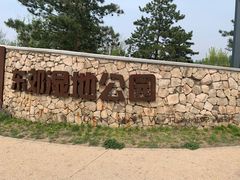 -东郊湿地公园
