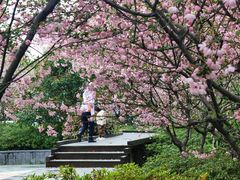 -昆山城市生态森林公园