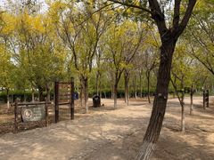 -西青郊野公园