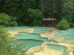 -黄龙山原始森林景区