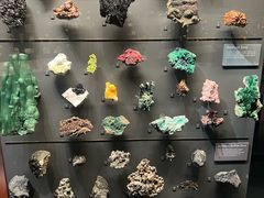 -美国自然历史博物馆