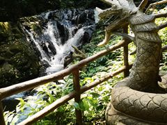 -莫里热带雨林景区