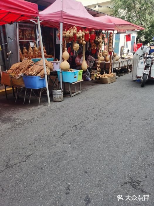 哈尔滨市宠物交易市场图片