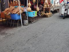 -哈尔滨市宠物交易市场