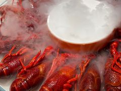 花雕冰镇龙虾-杨氏青龙虾·羊蝎子(金盛路总店)