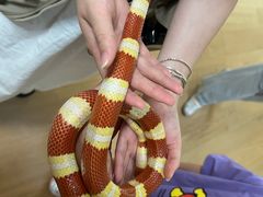 -上海昆虫博物馆