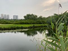 -眉山湿地公园(东坡区)