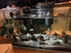 -7座啤酒館