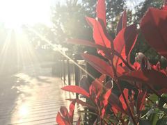 -帐篷客·溪龙茶谷度假酒店