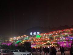 -枇杷园食为鲜火锅(南山店)