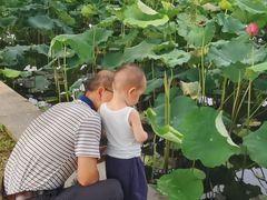 -食膳公园包子铺(烈士公园店)