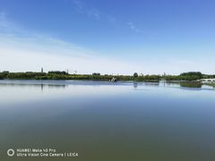 -大兴滨河森林公园