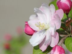 -沕沕水生态风景区