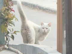 -方中山胡辣汤(顺河路店)