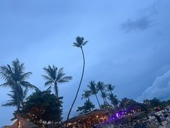 -Coco Tam’s