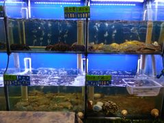 水产区-启东小海鲜(庄先湾路1号店)