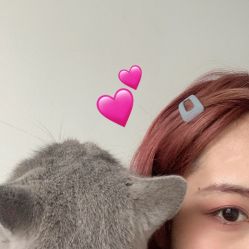 -潘多拉Hairsalon