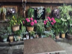 -龙姐私房菜(和顺古镇店)