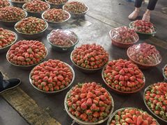 -西郊国际农产品交易中心