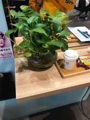 -东方麒麟·潘多拉SALON