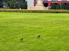 -广州中山纪念堂