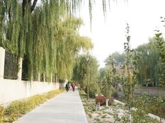 -元大都城垣遗址公园