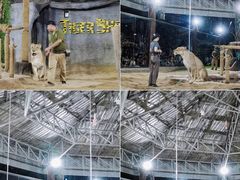-清迈夜间动物园