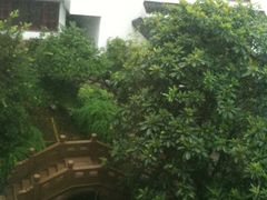 IMG_8462-苏州吴宫泛太平洋酒店