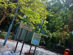 -南丫岛