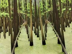 -青山湖景区