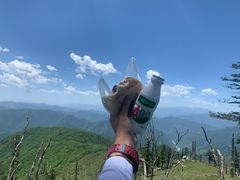 -秦岭风景区