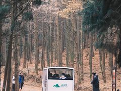 -山王坪喀斯特国家生态公园