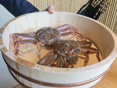 -辉·四季料亭·怀石料理·深夜食堂烧鸟·Omakase
