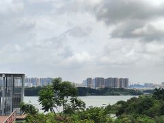 -立新湖公园
