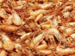 -小北江河鲜(新城店)