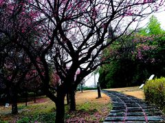 -白塘生态植物园