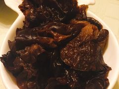 木耳-下马陵贰号