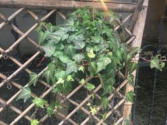 -二楼南书房