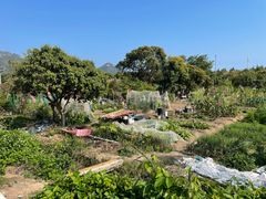 -西涌国际滨海旅游区