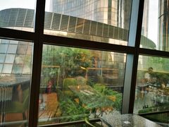 -油梨树AVOCADO TREE(望京店)