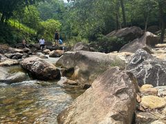 -广州白江湖森林公园