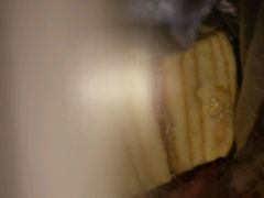-小麦城蛋糕(园林二小店)